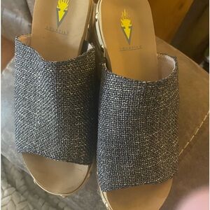 Volatile slides, blank with specs of gold.